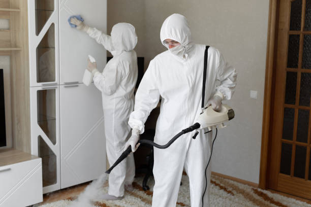 Best Toxic Mold Removal  in Timpson, TX